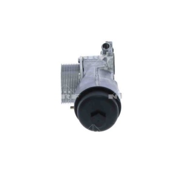 LIBRETTO_RICHIESTA_TARGA.JPG Carter, Filtro olio 31328 NRF per PEUGEOT CITROEN