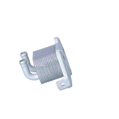 LIBRETTO_RICHIESTA_TARGA.JPG Radiatore olio, Olio motore 31345 NRF per OPEL