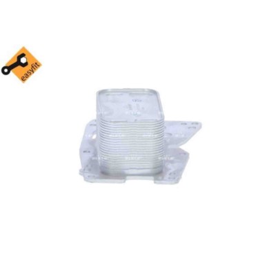 LIBRETTO_RICHIESTA_TARGA.JPG Radiatore olio, Olio motore 31755 NRF per BMW TOYOTA MINI