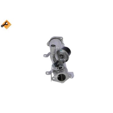 LIBRETTO_RICHIESTA_TARGA.JPG Radiatore, Ricircolo gas scarico 48314 NRF per AUDI VW SEAT SKODA
