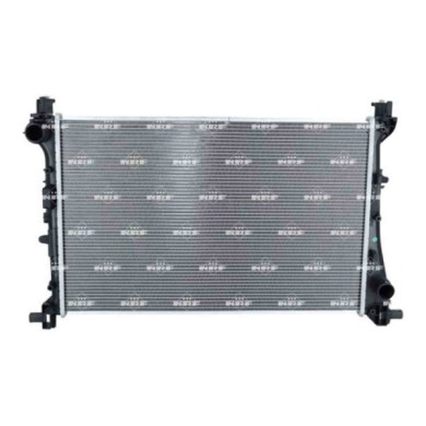 550125_2.JPG Radiatore, Raffreddamento motore 550125 NRF per FIAT