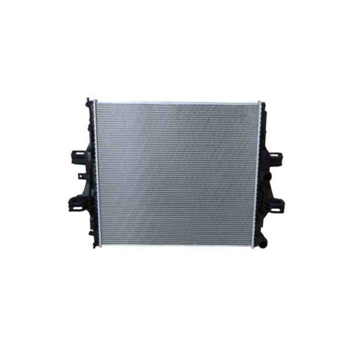 58431_2.JPG Radiatore, Raffreddamento motore 58431 NRF per IVECO