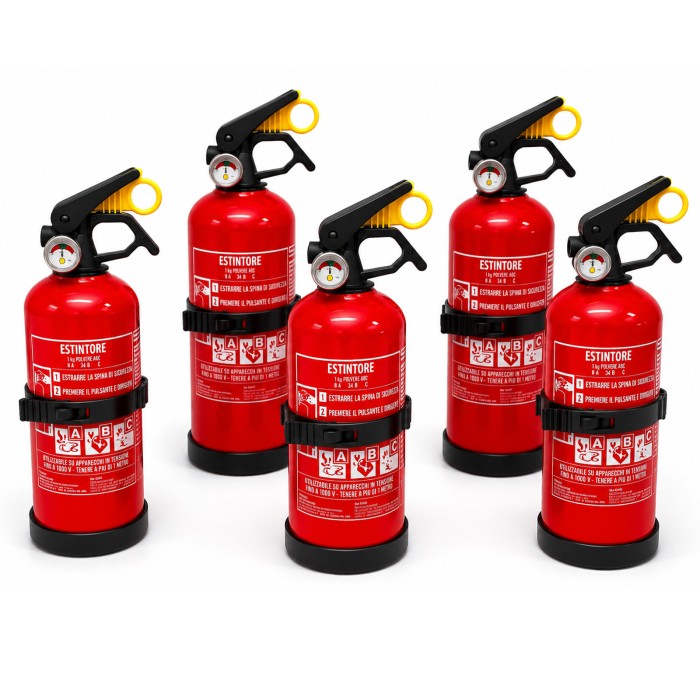 EST_1_KG_1_PZ_3.jpg Btk Navpower Estintore 5 X 1 Kg Con Manometro E Sicura