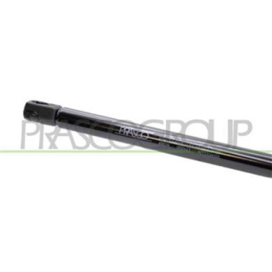 AD3209055_3.JPG Molla A Gas Destra O Sinistra Portellone Posteriore Per Audi A3 3/5 Porte (8p/8pa) Dal 2003 Al 2008