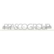 Spoiler Paraurti Anteriore Superiore Argento Per Audi Rs5 Dal 2017 Al 2020