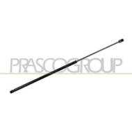 AD8109003_2.JPG Molla A Gas Cofano Destra Per Audi Q3 (8u) Dal 2011 Al 2014