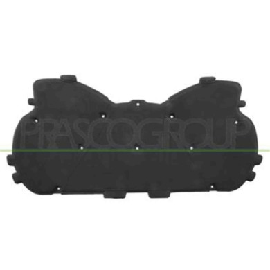 AD8201945_2.JPG Pannello Insonorizzatore Cofano Per Audi Q5 (8r) Dal 2008 Al 2011