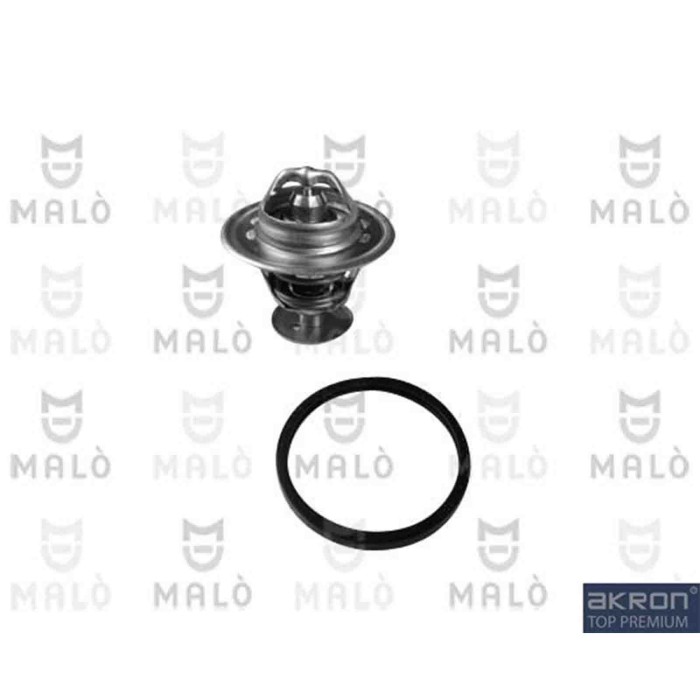 NEUTRO.jpg Termostato, refrigerante TER173 AKRON-MALO' per SAAB