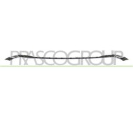 AD8261265_1.JPG Modanatura Centrale Cromata Per Audi Q5 (fy) Dal 2020