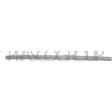 BM0181255_1.JPG Modanatura Paraurti Posteriore Centrale Per Bmw 3 Series - E46 Dal 1998 Al 2001