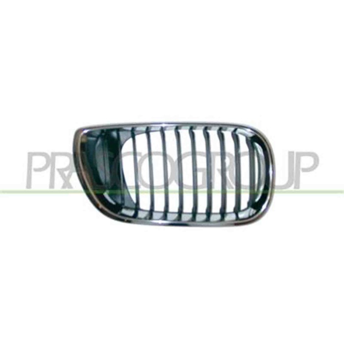 GUIDA_ALLA_SCELTA.JPG Griglia Radiatore Destra Per Bmw 3 Series - E46 Dal 2001 Al 2005