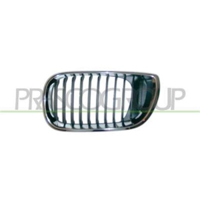 GUIDA_ALLA_SCELTA.JPG Griglia Radiatore Sinistra Per Bmw 3 Series - E46 Dal 2001 Al 2005