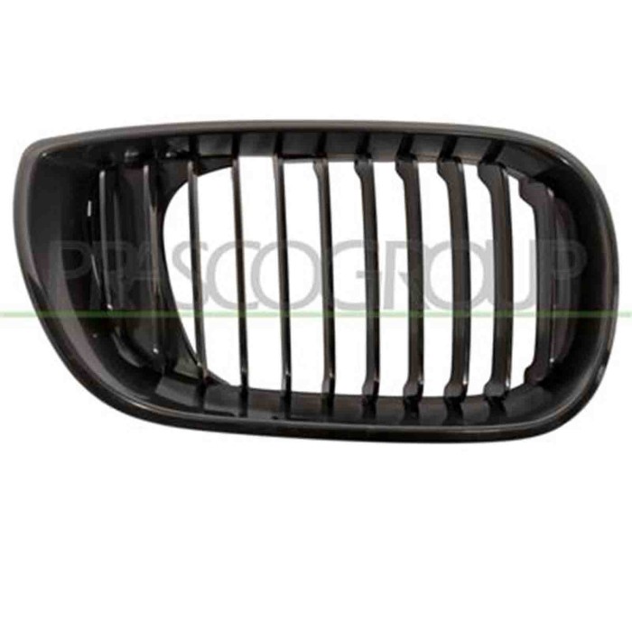 GUIDA_ALLA_SCELTA.JPG Griglia Radiatore Destra Per Bmw 3 Series - E46 Dal 2001 Al 2005