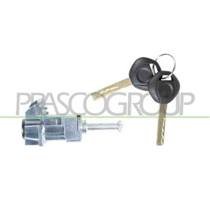 BM0208910_2.JPG Blocchetto Destro Con Due Chiavi Per Bmw 3 Series - E46 Dal 2001 Al 2005