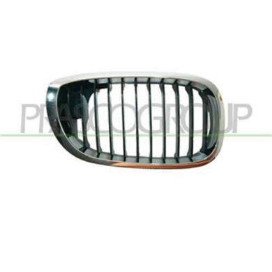 GUIDA_ALLA_SCELTA.JPG Griglia Radiatore Destra Per Bmw 3 Series - E46 Coupe' Dal 2001 Al 2003