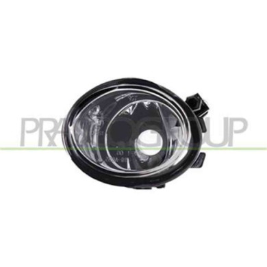 GUIDA_ALLA_SCELTA.JPG Fendinebbia Destro Per Bmw 3 Series - E46 Coupe' Dal 2001 Al 2003