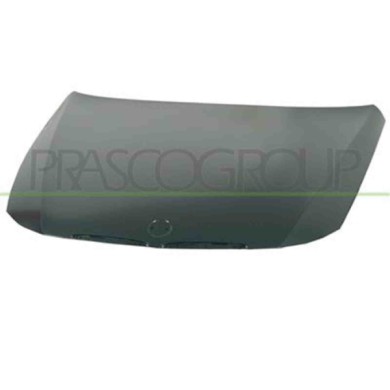 BM0243100_1.JPG Cofano Per Bmw 3 Series - E90/e91 Dal 2005 Al 2009