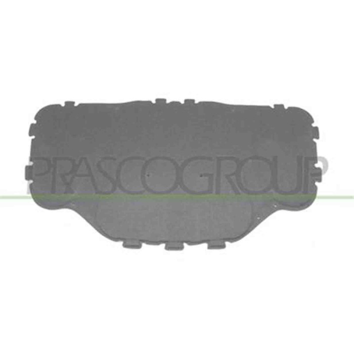 BM0461945_2.JPG Pannello Insonorizzatore Cofano Per Bmw 5 Series - E60/e61 Dal 2003 Al 2007
