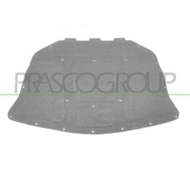 BM0481945_1.JPG Pannello Insonorizzatore Cofano Per Bmw 5 Series - F10/f11 Dal 2010 Al 2013