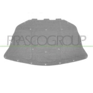 BM0481945_1.JPG Pannello Insonorizzatore Cofano Per Bmw 5 Series - F10/f11 Dal 2010 Al 2013
