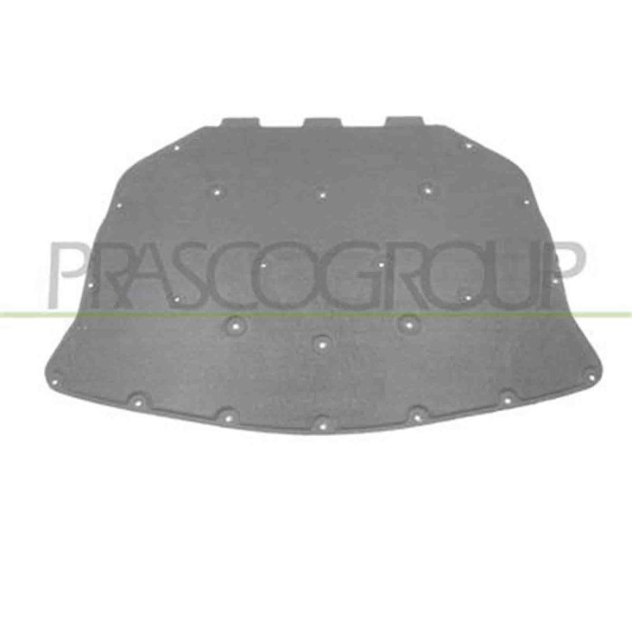 BM0481945_2.JPG Pannello Insonorizzatore Cofano Per Bmw 5 Series - F10/f11 Dal 2010 Al 2013