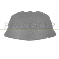 BM0481945_2.JPG Pannello Insonorizzatore Cofano Per Bmw 5 Series - F10/f11 Dal 2010 Al 2013