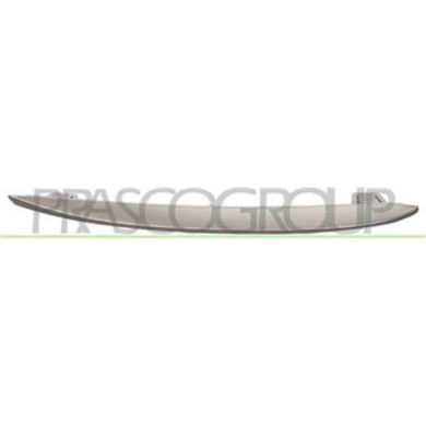 GUIDA_ALLA_SCELTA.JPG Modanatura Verniciata Argento Per Griglia Destra Per Bmw 5 Series - F10/f11 Dal 2010 Al 2013