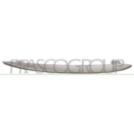 Modanatura Verniciata Argento Per Griglia Destra Per Bmw 5 Series - F10/f11 Dal 2010 Al 2013