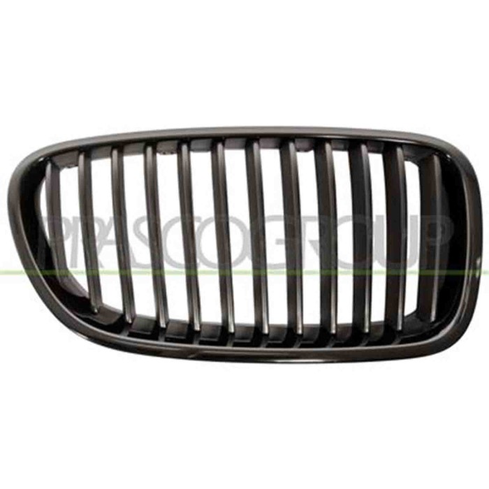 GUIDA_ALLA_SCELTA.JPG Griglia Radiatore Destra Per Bmw 5 Series - F10/f11 M-tech Dal 2010 Al 2013