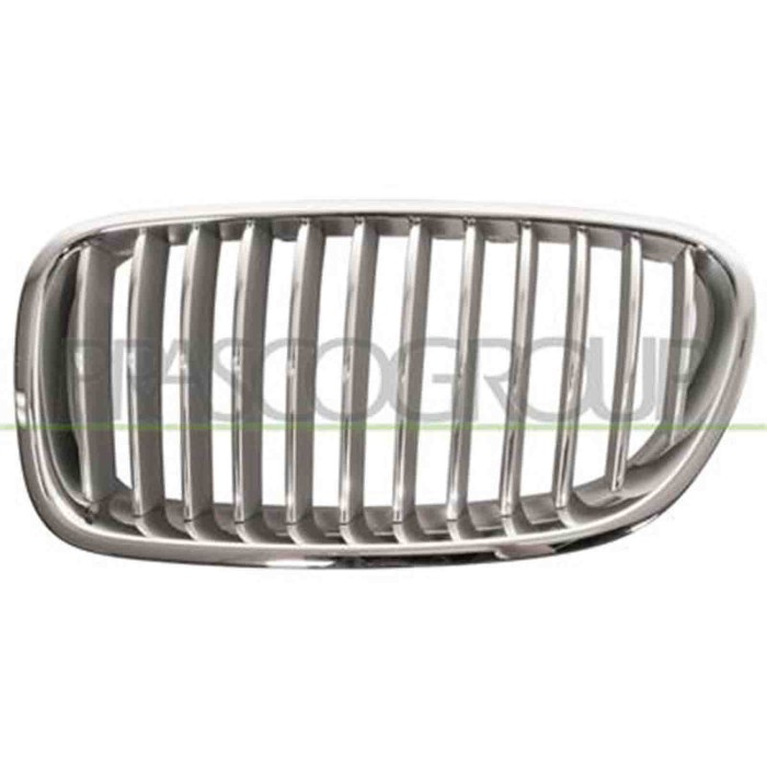 GUIDA_ALLA_SCELTA.JPG Griglia Radiatore Sinistra Cromata/titanio Per Bmw 5 Series - F10/f11 M-tech Dal 2010 Al 2013