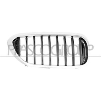 GUIDA_ALLA_SCELTA.JPG Griglia Radiatore Destra Per Bmw 5 Series - G30/g31 Dal 2016 Al 2020