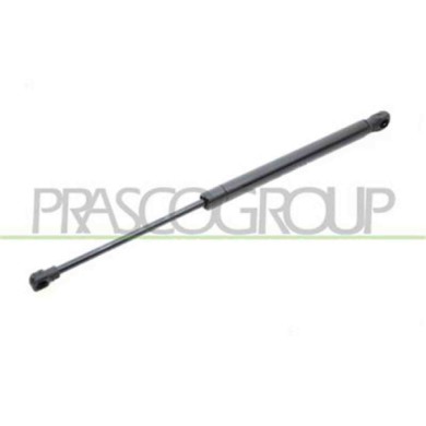 BM1209055_2.JPG Molla A Gas Destra O Sinistra Portellone Posteriore Per Bmw 1 Series - E87/e81 Dal 2004 Al 2007