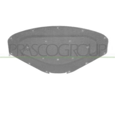 BM1231945_1.JPG Pannello Insonorizzatore Cofano Per Bmw 1 Series - F20/f21 Dal 2011 Al 2015