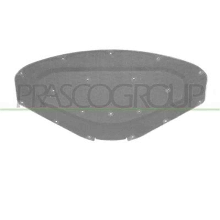 BM1231945_1.JPG Pannello Insonorizzatore Cofano Per Bmw 1 Series - F20/f21 Dal 2011 Al 2015
