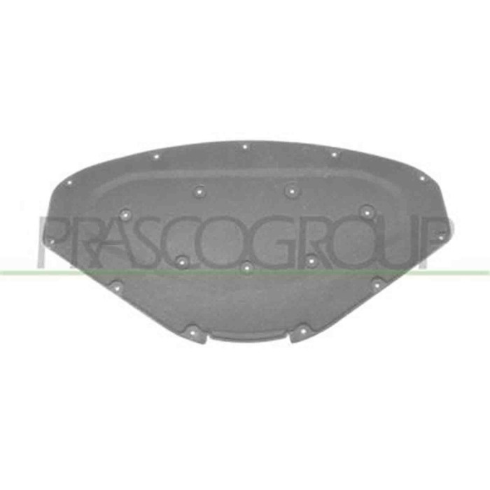 BM1231945_2.JPG Pannello Insonorizzatore Cofano Per Bmw 1 Series - F20/f21 Dal 2011 Al 2015