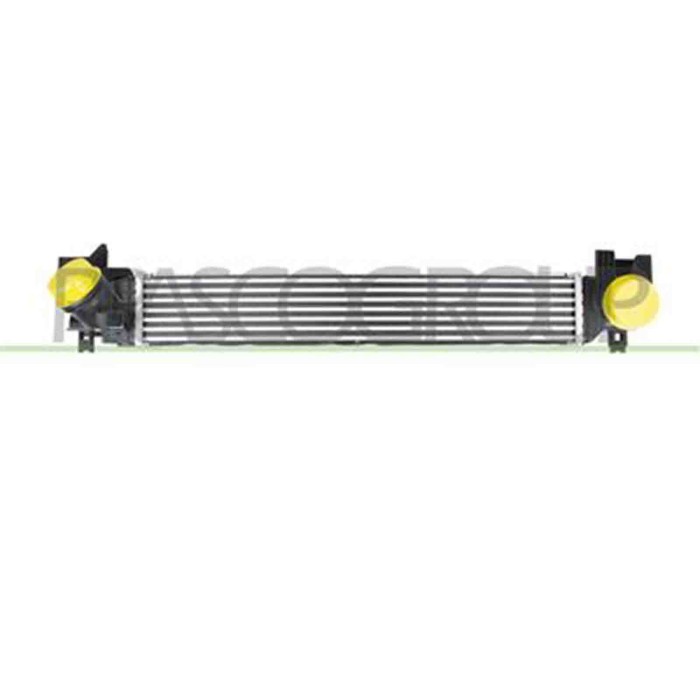 BM250N001_1.JPG Intercooler Per Bmw 2 Series - F45 / F46- Active/gran Tourer Dal 2014 Al 2018
