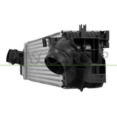 BM250N002_1.JPG Intercooler Per Bmw 2 Series - F45 / F46- Active/gran Tourer Dal 2014 Al 2018