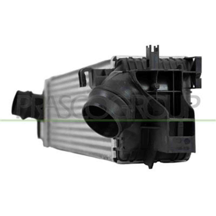 BM250N002_1.JPG Intercooler Per Bmw 2 Series - F45 / F46- Active/gran Tourer Dal 2014 Al 2018