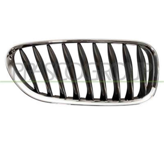 GUIDA_ALLA_SCELTA.JPG Griglia Radiatore Destra Per Bmw Z4 - E85/e86 Dal 2003 Al 2005