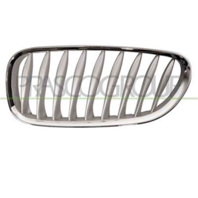 GUIDA_ALLA_SCELTA.JPG Griglia Radiatore Sinistra Grigia Per Bmw Z4 - E85/e86 Dal 2003 Al 2005