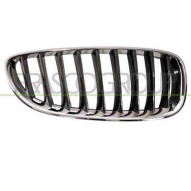 GUIDA_ALLA_SCELTA.JPG Griglia Radiatore Destra Per Bmw Z4 - E89 Dal 2009 Al 2013