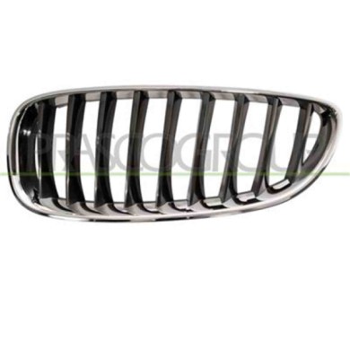 GUIDA_ALLA_SCELTA.JPG Griglia Radiatore Sinistra Per Bmw Z4 - E89 Dal 2009 Al 2013
