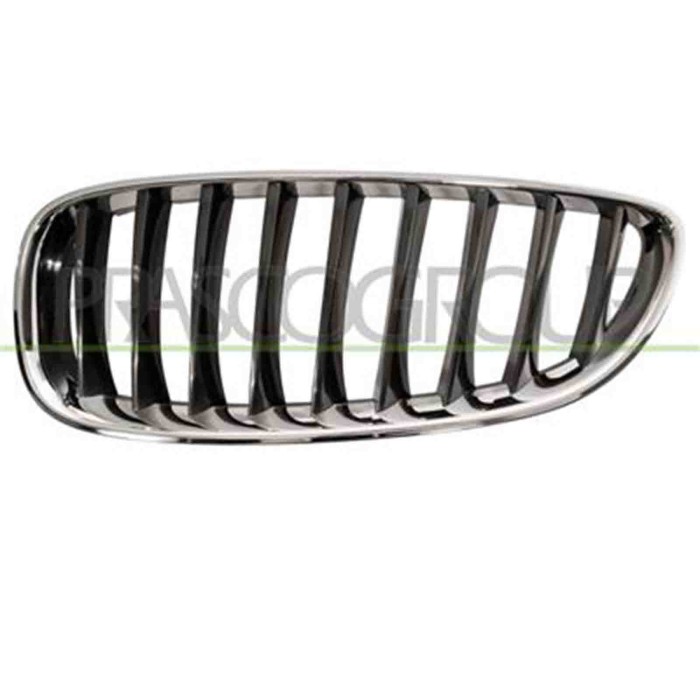 GUIDA_ALLA_SCELTA.JPG Griglia Radiatore Sinistra Per Bmw Z4 - E89 Dal 2009 Al 2013