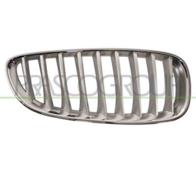 GUIDA_ALLA_SCELTA.JPG Griglia Radiatore Destra Per Bmw Z4 - E89 Dal 2009 Al 2013