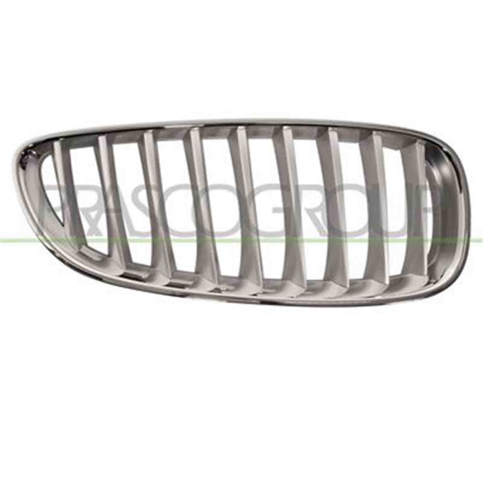 GUIDA_ALLA_SCELTA.JPG Griglia Radiatore Destra Per Bmw Z4 - E89 Dal 2009 Al 2013