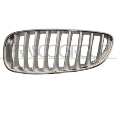 GUIDA_ALLA_SCELTA.JPG Griglia Radiatore Sinistra Per Bmw Z4 - E89 Dal 2009 Al 2013