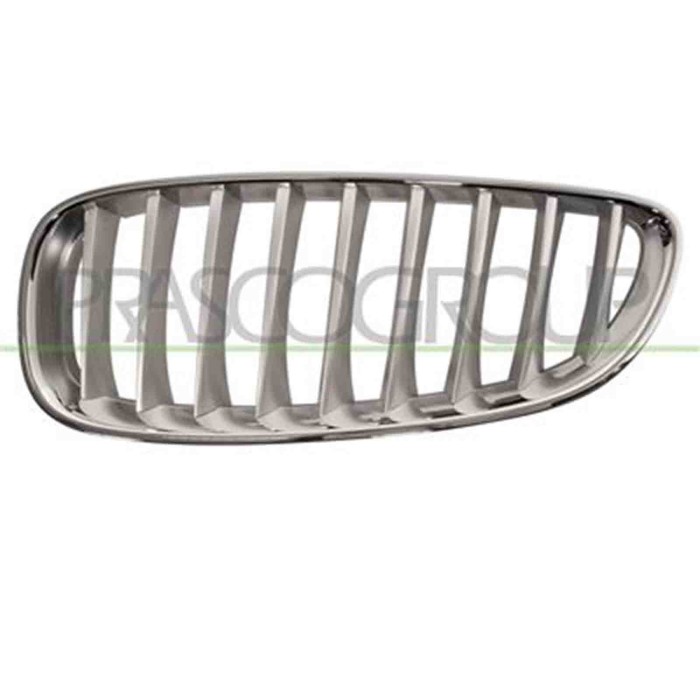 GUIDA_ALLA_SCELTA.JPG Griglia Radiatore Sinistra Per Bmw Z4 - E89 Dal 2009 Al 2013