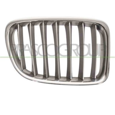 GUIDA_ALLA_SCELTA.JPG Griglia Radiatore Destra Per Bmw X1 - E84 Dal 2009 Al 2012