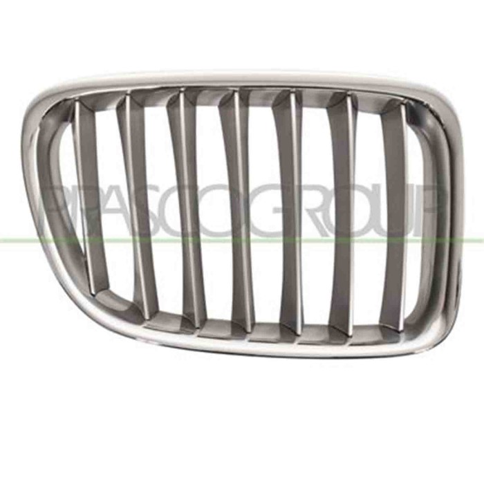 GUIDA_ALLA_SCELTA.JPG Griglia Radiatore Destra Per Bmw X1 - E84 Dal 2009 Al 2012