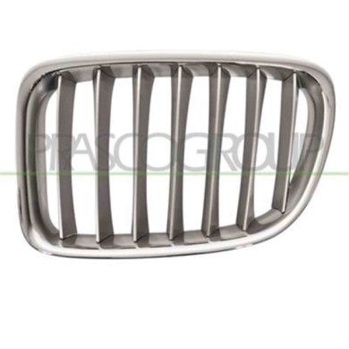 GUIDA_ALLA_SCELTA.JPG Griglia Radiatore Sinistra Per Bmw X1 - E84 Dal 2009 Al 2012